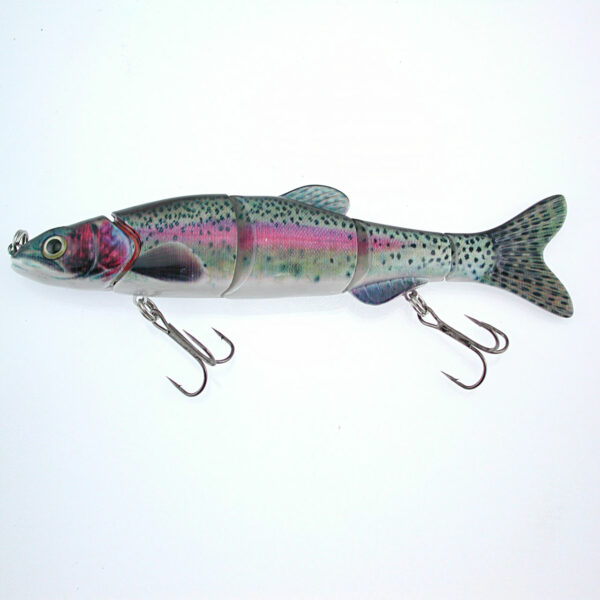 dace-5s-rainbow-trout