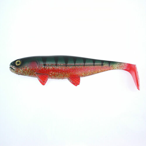 jackson-the-big-fish-perch-natur