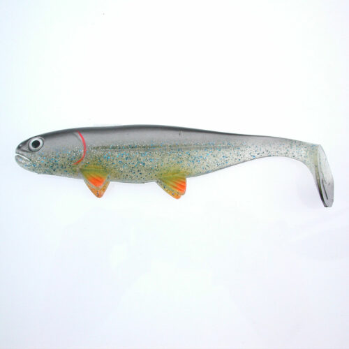 jackson-the-big-fish-the-silver-shad