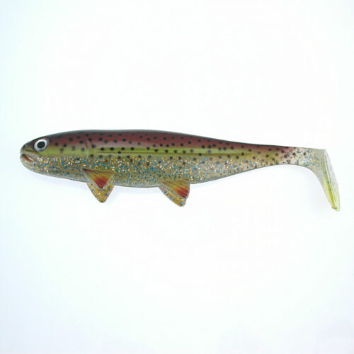 jackson-the big-fish-trout