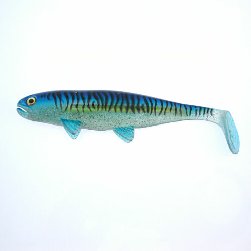 Jackson - The Sea Fish Makrele
