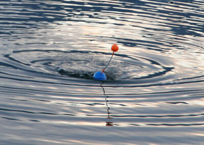 renkenfischen-mit-dem-schwimmer-06