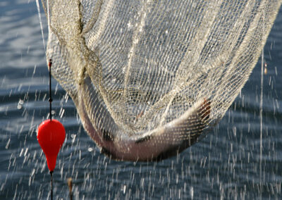 renkenfischen-mit-dem-schwimmer-vom-ufer-04