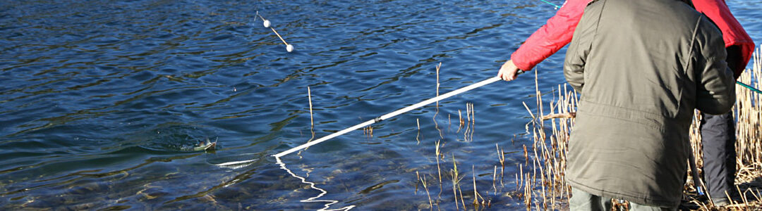 Renkenfischen mit Schwimmer vom Ufer