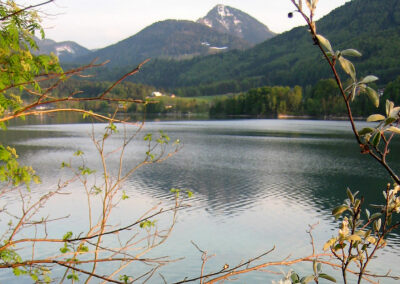 fuschlsee-13